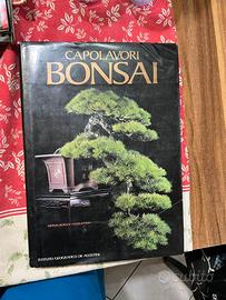 bonsai riviste e libri