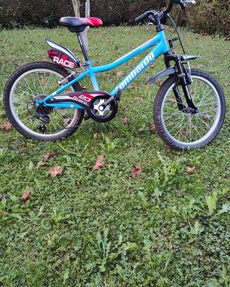 Bicicletta MTB bambino 20’