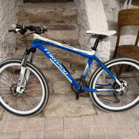 MTB mountain bike rampichino