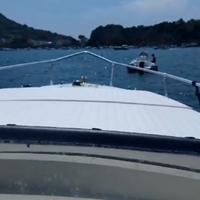 Fiart Thunder 28''