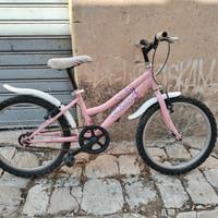 bici da 20 maschio e femmina 