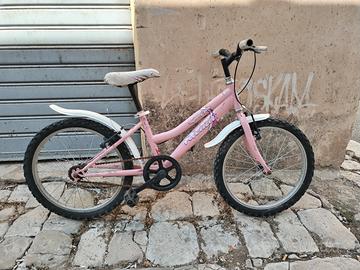 bici da 20 maschio e femmina 