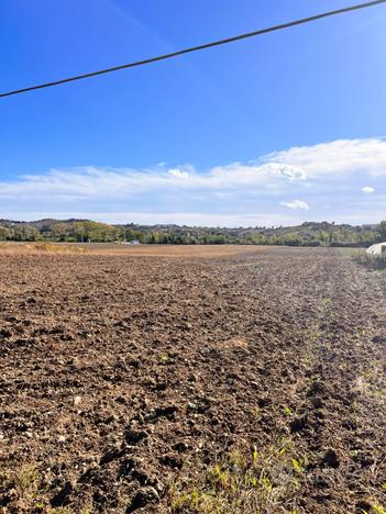 Terreno Agricolo - Magliano di Tenna