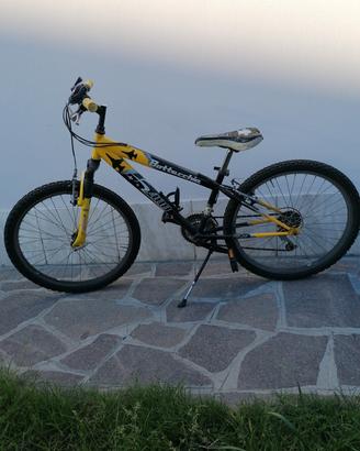 Mountain bike ragazzo Marca Bottecchia