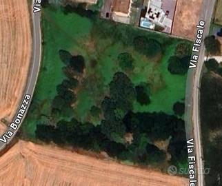 Terreno agricolo per molteplici utilizzi