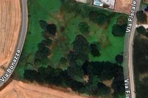 Terreno agricolo per molteplici utilizzi