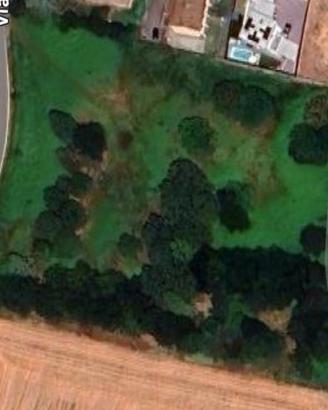 Terreno agricolo per molteplici utilizzi