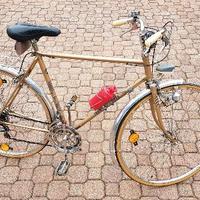 bici da città Taglia M