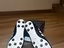 Immagine 3