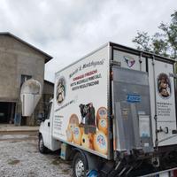 Fiat Ducato con cella frigo e rampa idraulica