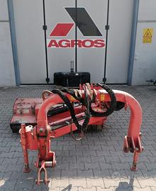 TRINCIA ARGINI MASCHIO