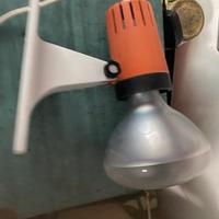Lampada osram