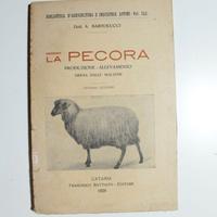 Libro antico 1928 La Pecora allevamento ovino manu