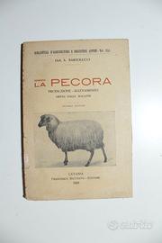Libro antico 1928 La Pecora allevamento ovino manu