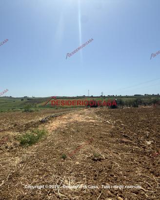 Terreno, Paceco.
