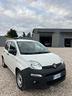 fiat-panda-1-2-benzina-2019-van-autocarro