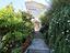 Immagine 20