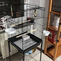 Gabbia per Pappagalli