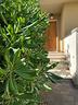 appartamento-a-cecina