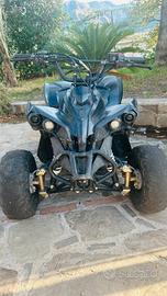 Mini quad renegade 110 cc