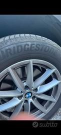 gomme estive 