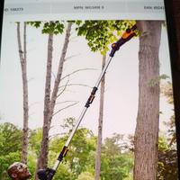 potatore telescopico a batteria worx