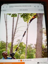 potatore telescopico a batteria worx