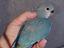 Immagine 4