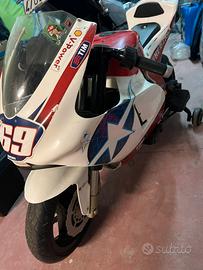 Mini Moto Ducati Peg Perego 24v