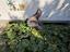 Immagine 28