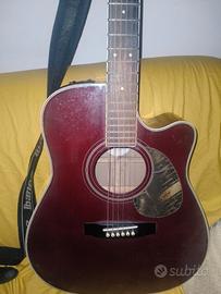 TAKAMINE EG