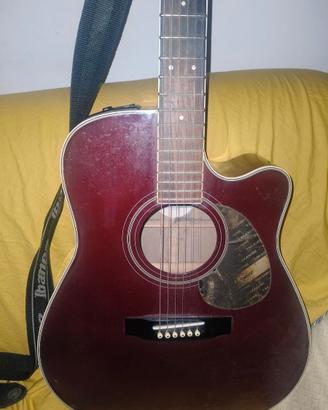 TAKAMINE EG