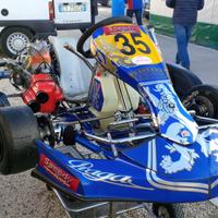 Kart KZ