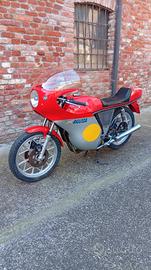 MV augusta serie limitata 