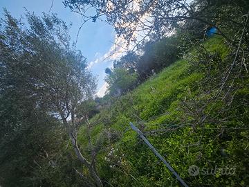 Terreno edificabile su canale