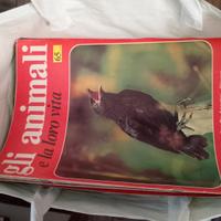 Enciclopedia degli animali