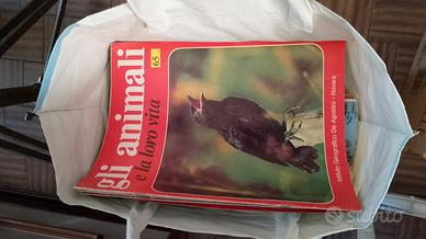 Enciclopedia degli animali