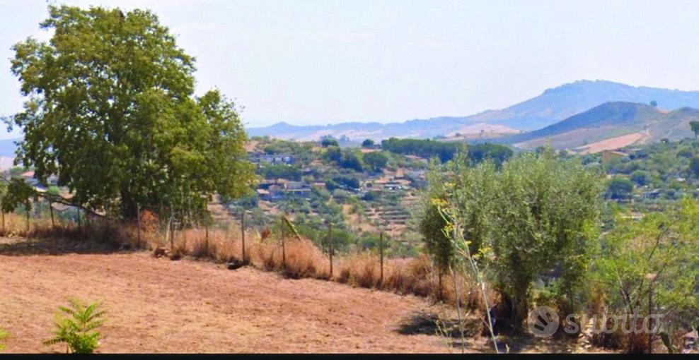 Terreno in c.da montagna Valguarnera - Vista 3
