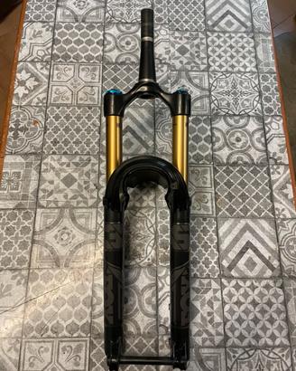 Fox kashima 36 29”