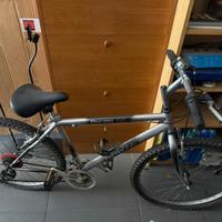 Mountain Bike Tecno Bike