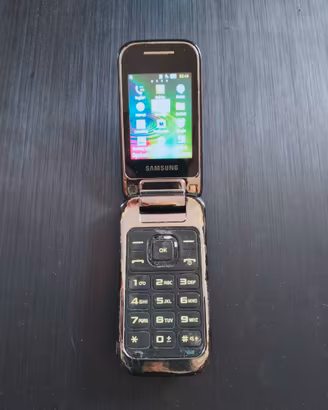 SAMSUNG GT-C3590