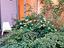 Immagine 16