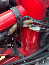 Ducari multistrada 1000 ds