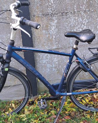 Gazelle Lite