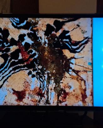 Samsung 32 pollici  Tv Monitor wifi lan 32