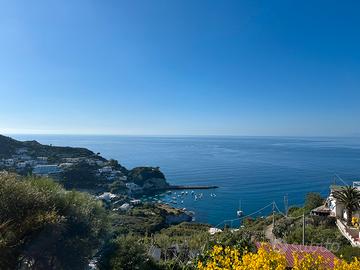 Ponza, posto barca a cala feola 6mt ormeggio