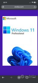 Windows 11pro