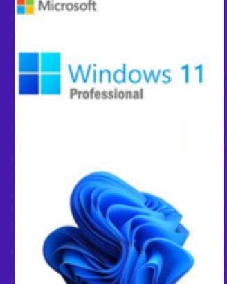 Windows 11pro