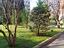Immagine 22