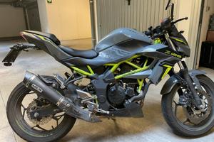 Kawasaki Z 125 - 2023